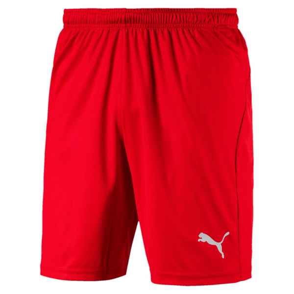 Puma Kurze Hosen LIGA Shorts Core 703436