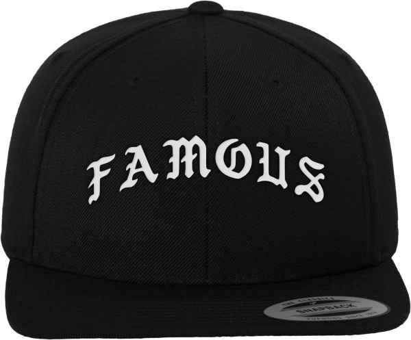 Famous Stars and Straps Snapback Caps Famous Old Live Fast die Fun Fuckin